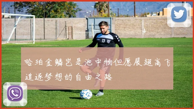哈珀金鳞岂是池中物但愿展翅高飞追逐梦想的自由之路