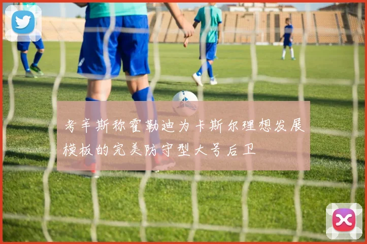 考辛斯称霍勒迪为卡斯尔理想发展模板的完美防守型大号后卫